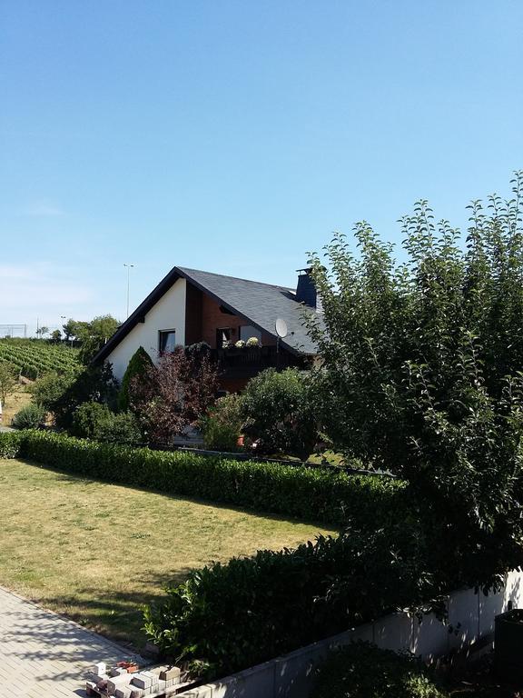 Hotel Ferienhaus "Anne" Und Weingut Willi Fett Ellenz-Poltersdorf Pokoj fotografie