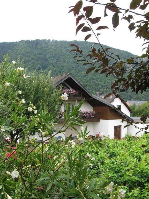 Hotel Ferienhaus "Anne" Und Weingut Willi Fett Ellenz-Poltersdorf Exteriér fotografie