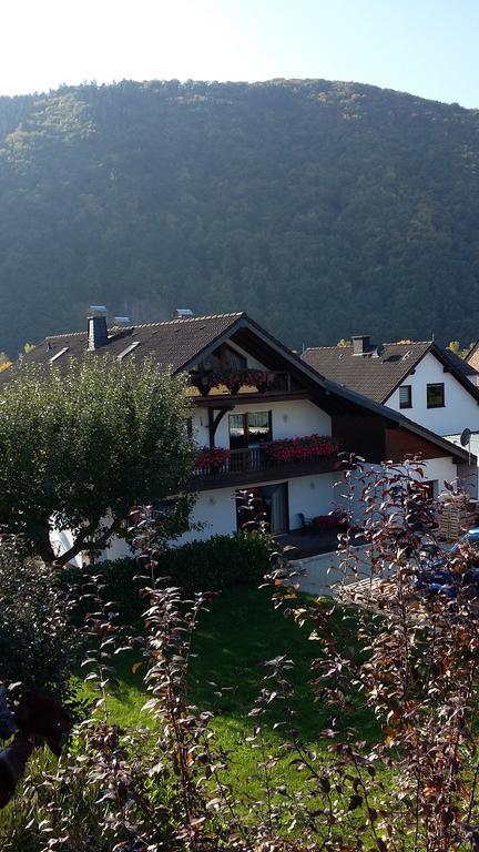 Hotel Ferienhaus "Anne" Und Weingut Willi Fett Ellenz-Poltersdorf Exteriér fotografie